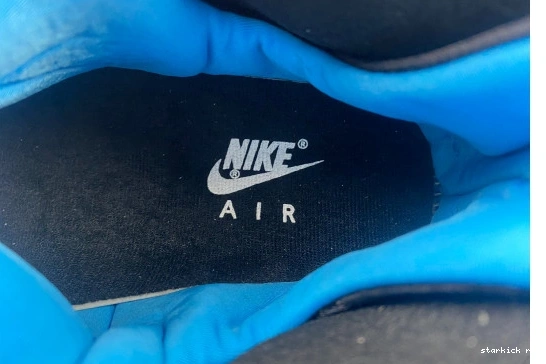 Jordan Powder 302370-103 Retro 302370-103 9   0323